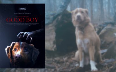 Good Boy: Yo soy tu amigo fiel